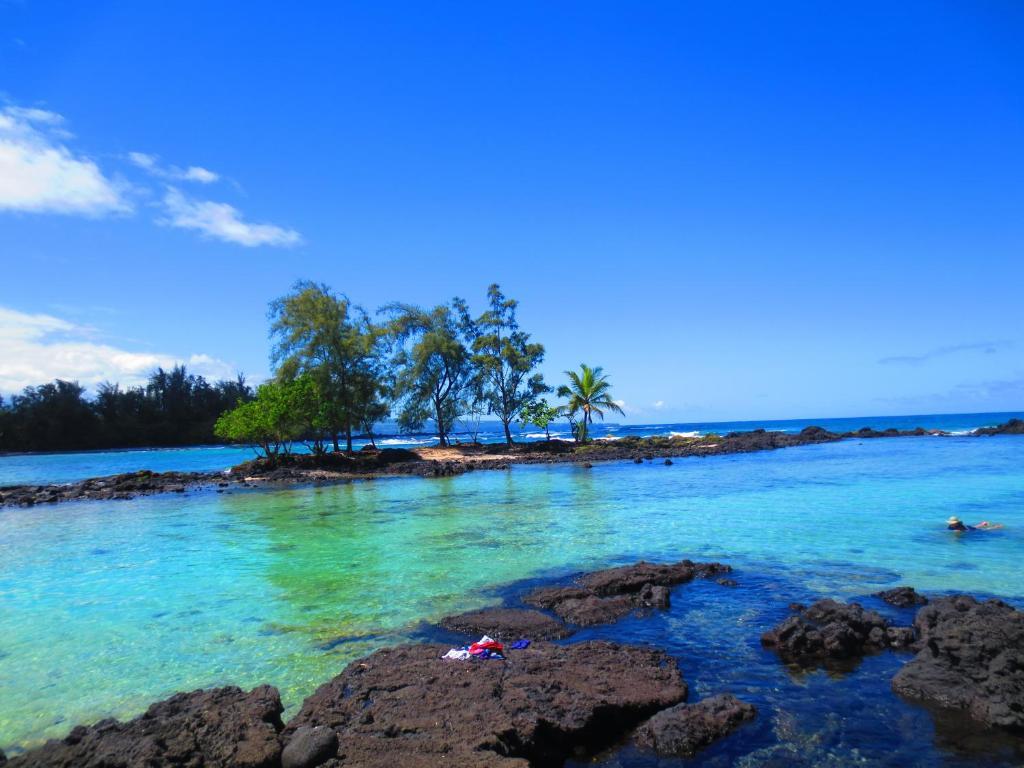 Maureen'S Bed And Breakfast Hilo Exterior foto
